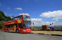 Johannesburg Hop-On Hop-Off City Tour with Soweto Option