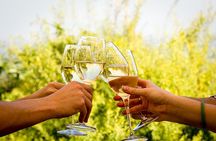 Wine Tour: Paarl, Franschhoek & Stellenbosch incl 3 wineries