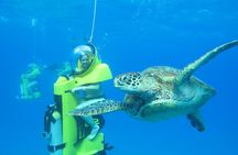 Oahu Submarine Scooter Adventure