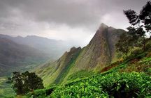 Private Custom Tour: Munnar tea estate Sightseeing with guide