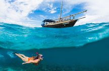 PILLI PIPA DHOW, the genuine product, snorkeling tour to Kisite Marine Park 