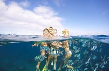 Sailing Catamaran Cruises
