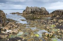 Game of Thrones and Giant's Causeway Full-Day Tour from Belfast