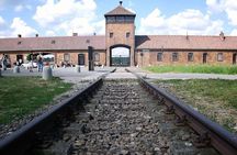 Auschwitz-Birkenau Memorial and Museum Guided Tour - Private Transport