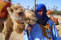 Camel Ride in the Palm Grove of Marrakech