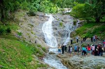 Cameron Highland Day Tour from Kuala Lumpur