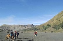Bromo sunrise tour - start Surabaya // 1 day