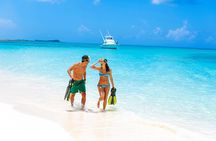 Sandy Toes Bahamas Original Swimming Pigs and Snorkeling 