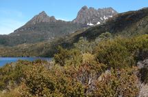 Cradle Mountain Wildlife Spotting after Dark