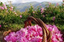 Buzludzha Monument and the Rose Valley Guided Day Tour