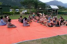 Nadi Half-Day Tour