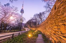 Half Day Seoul Afternoon Food Tour and visit 3 landMarks of Seoul