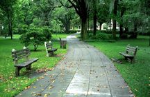 Savannah Stroll: Guided Sightseeing & History Walking Tour of Savannah