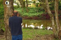 Byron Bay Platypus Walk