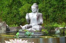 Crystal Castle Shuttle from Byron Bay (half day)