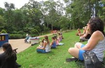 Crystal Castle Shuttle from Byron Bay (half day)