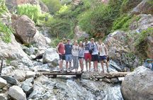 A Half-day Excursion To Ourika Valley