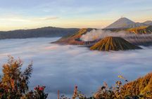 Bromo Sunrise Tour 2 Days 1 Private Tour