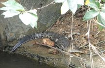 River Safari Bentota