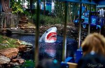 Houston City Tour and Downtown Aquarium All Rides Pass