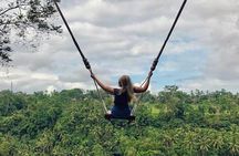 Private Bali Tour: Wonderful Ubud with Swing