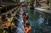 Bali Tour: Kintamani Tour with Lunch