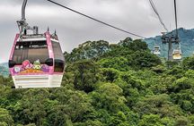 Sip & Savor: Maokong Tea & Shenkeng Stinky Tofu Private Day Tour