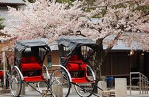 Private Custom Tour: Kyoto in One Day