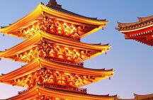Private Custom Tour: Tokyo in a Day