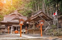 VIP: Mt Fuji Private Tour with Sengen Shrine Visit from Tokyo