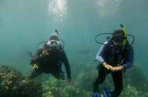 South Maui Discover Scuba Dive