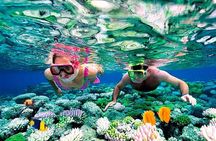 Riviera Maya Snorkeling