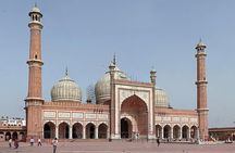 Private Delhi Sightseeing Full Day Tour with Guide
