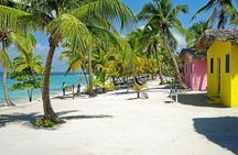 Catalina Island Tour from Punta Cana All Inclusive Snorkeling