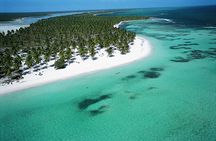 Samana Discovery Tour from Punta Cana
