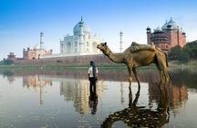 Taj Mahal Tour by Train from Delhi