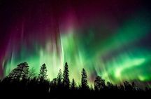 Aurora Lodge Viewing