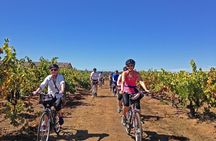 Santa Rosa Bike & Wine Tour