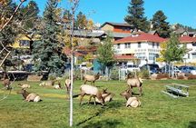 Rocky Mountain National Park in Summer Tour from Denver