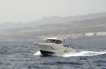 Best Fishing experience in Tenerife island