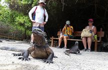 7-Day Galapagos Essentials