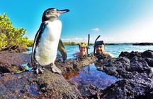 12-Day The Best Of Ecuador & Galapagos 