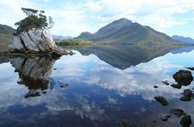 Southwest Tasmania Wilderness Experience: Fly Cruise and Walk Including Lunch