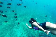 Private trip: snorkeling at Los Arcos & Colomitos beach