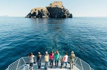 Kenai Fjords National Park Glacier Dinner Cruise from Seward