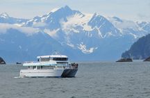 Full day Northwestern Glacier & Wildlife Tour from Seward
