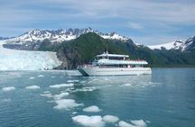 Seward Shore Excursion: Pre- or Post-Cruise Kenai Fjords National Park Tour