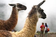 Tours Sacred Valley And Machu Picchu two days