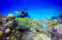 First Time Scuba Diving Experience in Punta Cana