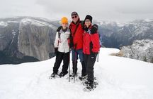Private Guided Snowshoe Hike in Yosemite